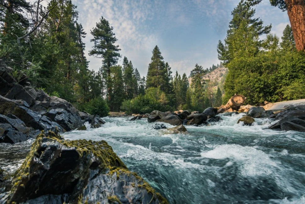 A Nature Lover's Guide to Sonora, CA